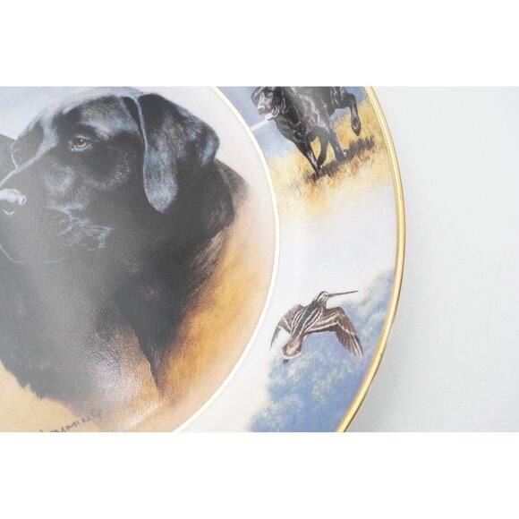 Royal Doulton The Sporting Life by Nigel Hemming Labrador Retriever 8" Plate - Picture 4 of 5